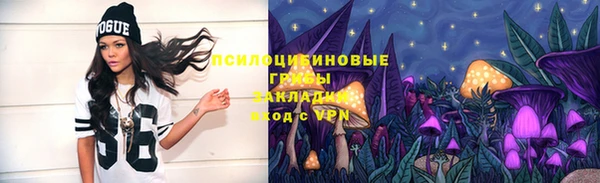 твердый Верея