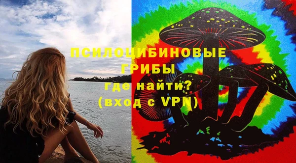 твердый Верея