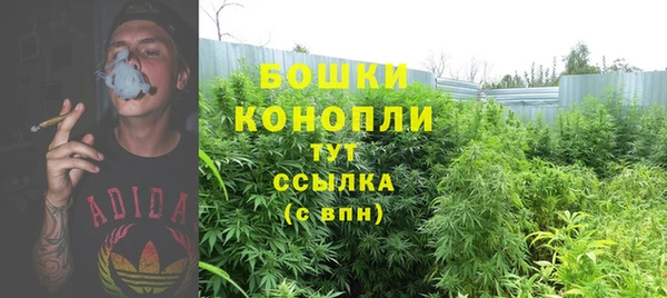 твердый Верея